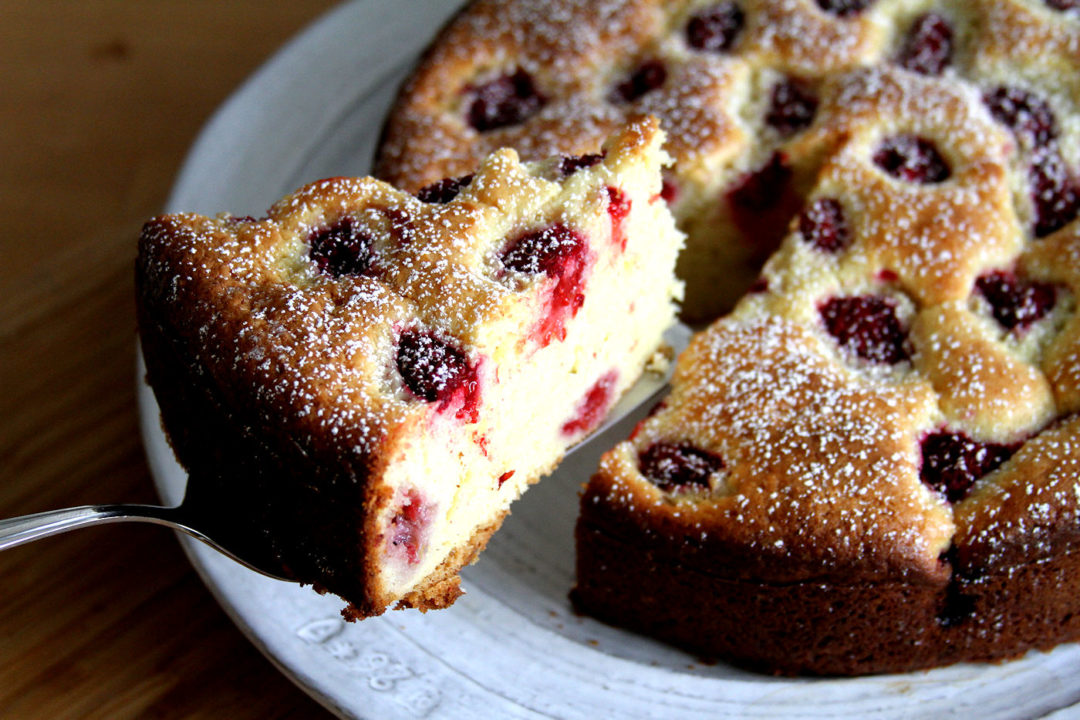 Raspberry Ricotta Cheese Cake A Cup of Sugar … A Pinch of Salt