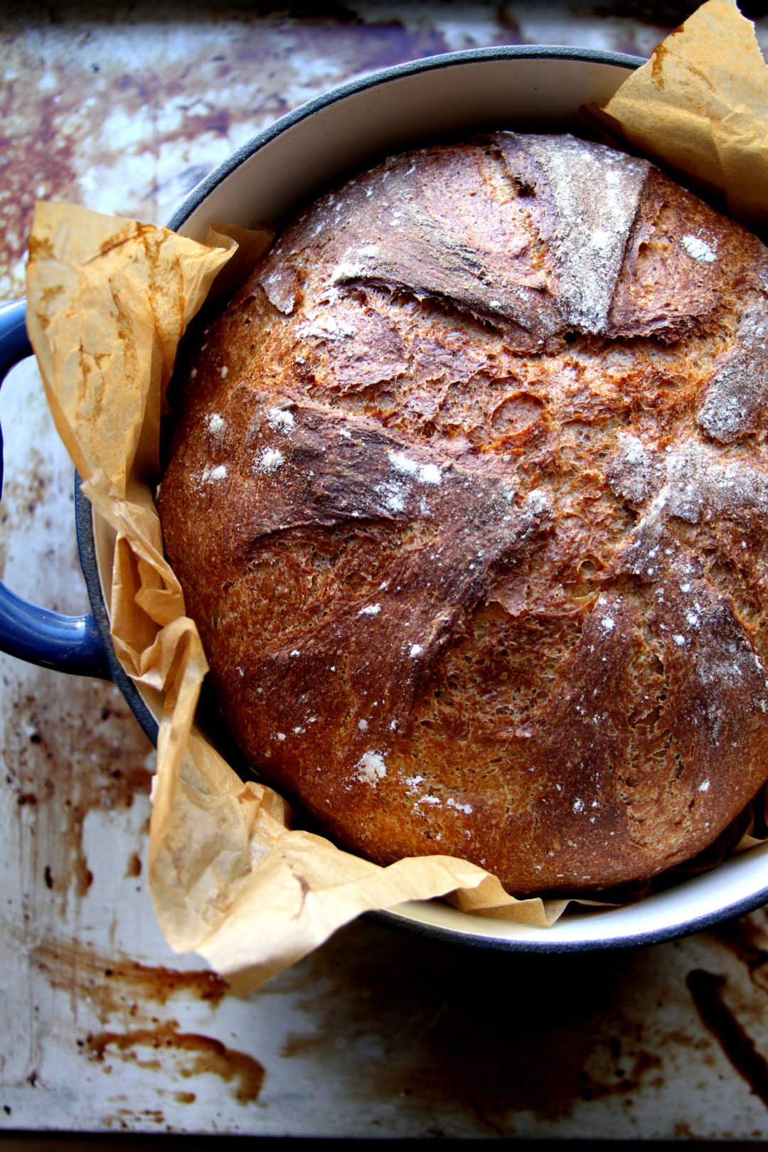 Low Knead Whole Wheat Anadama Bread, Baked in a Dutch Oven A Cup of