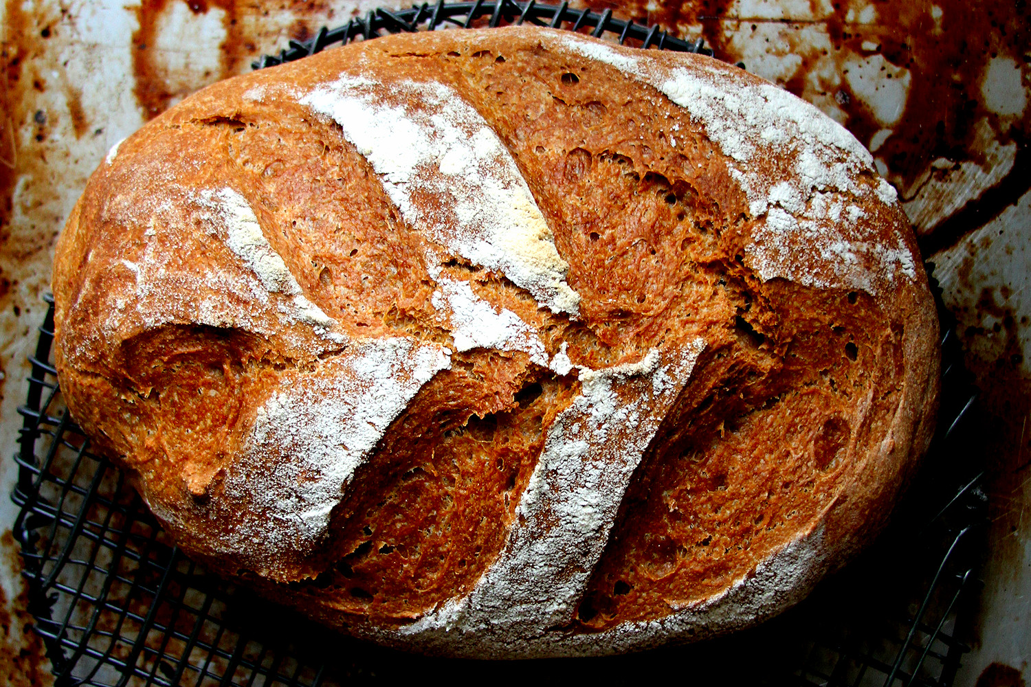 Heritage Grains Red Fife Sourdough Bread A Cup of Sugar … A Pinch of Salt