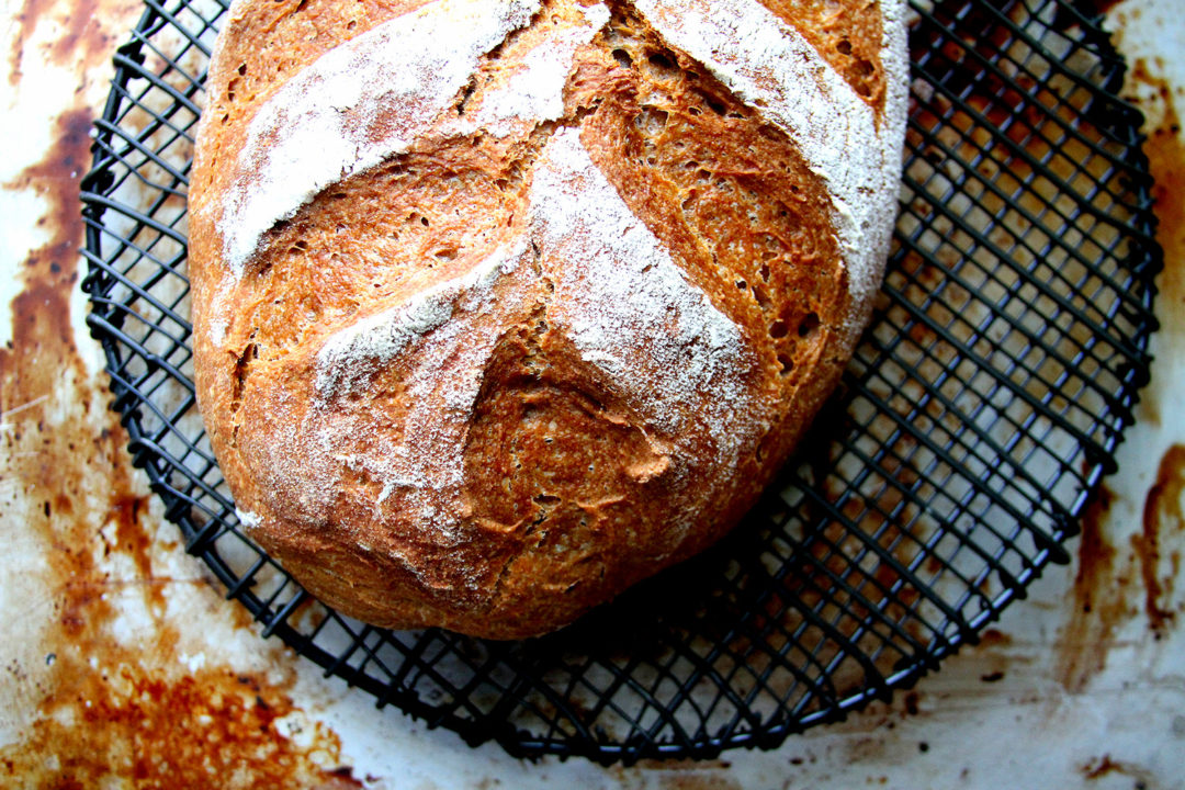 Heritage Grains Red Fife Sourdough Bread A Cup of Sugar … A Pinch of Salt