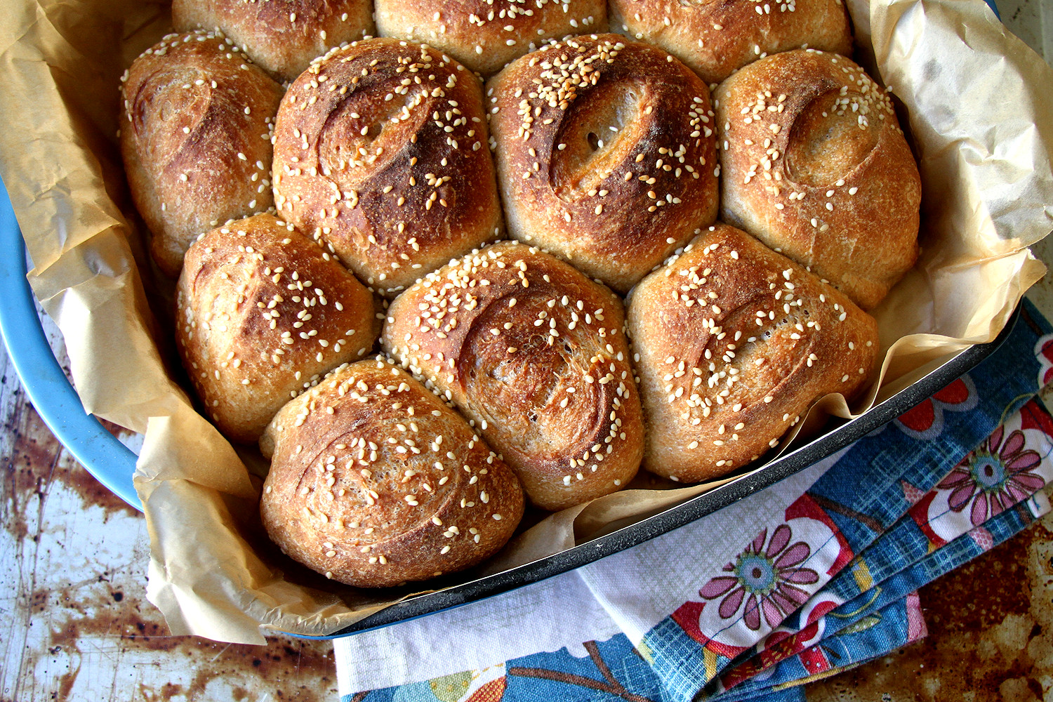 Whole Wheat Sourdough Dinner Rolls A Cup of Sugar … A Pinch of Salt